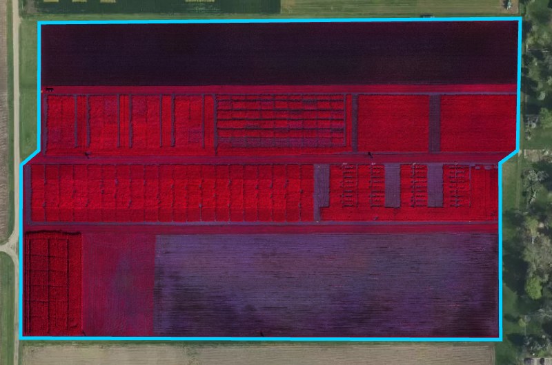 The demo field under a Multispectral Mosaic shown as a composite