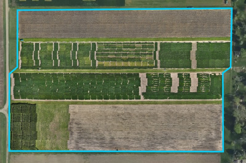 The demo field under a QuickTile RGB (DJI) layer: photos placed where they were taken