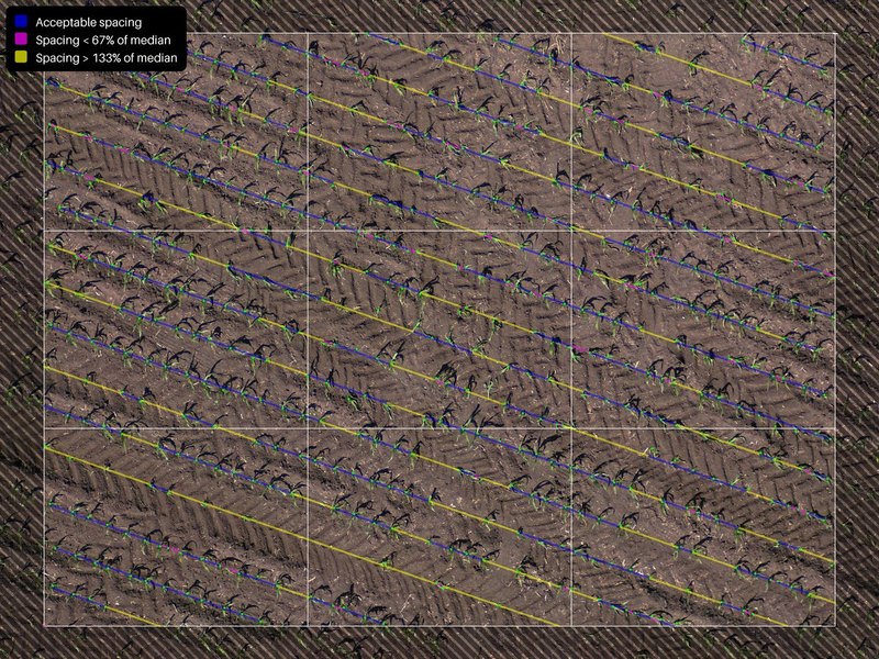The same photo annotated: plants joined by blue, magenta and yellow spacing lines with the legend Acceptable spacing, Spacing < 67% of median, Spacing > 133% of median