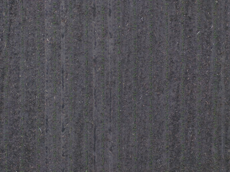 A stand count sample photo as flown: young corn rows on bare soil